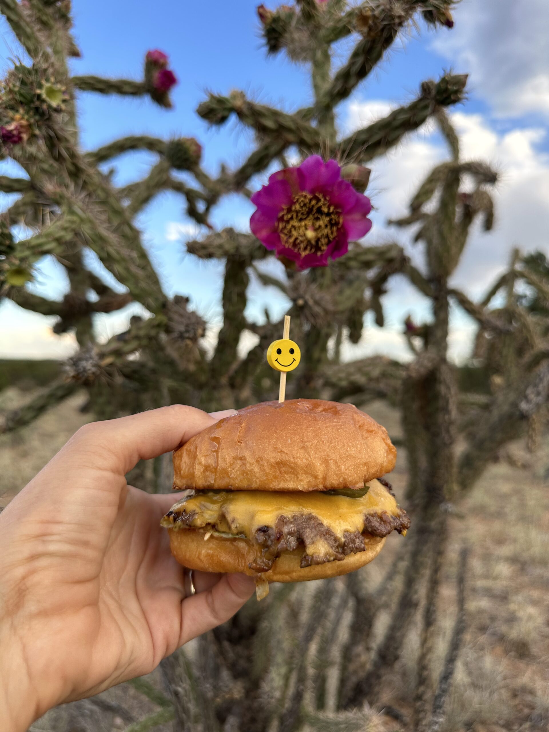 One Trick Pony Burger