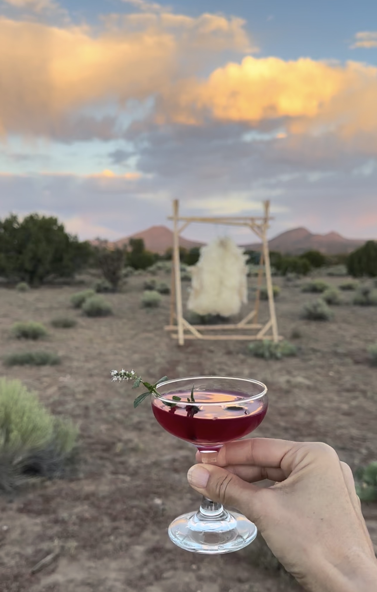 Wyoming Whiskey
